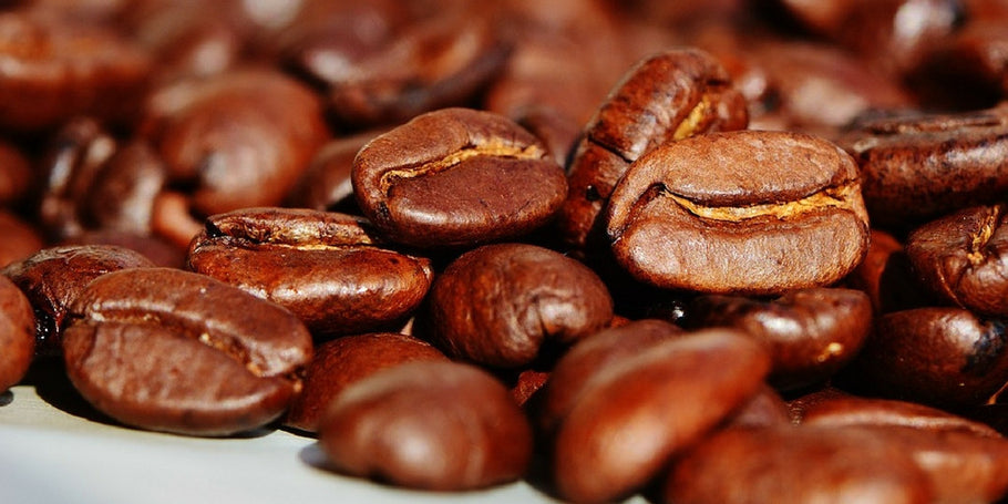 Types of Coffee Beans and the Differences Between Them